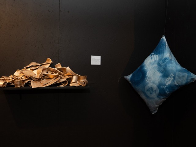 _DSC3513 (Mediana)